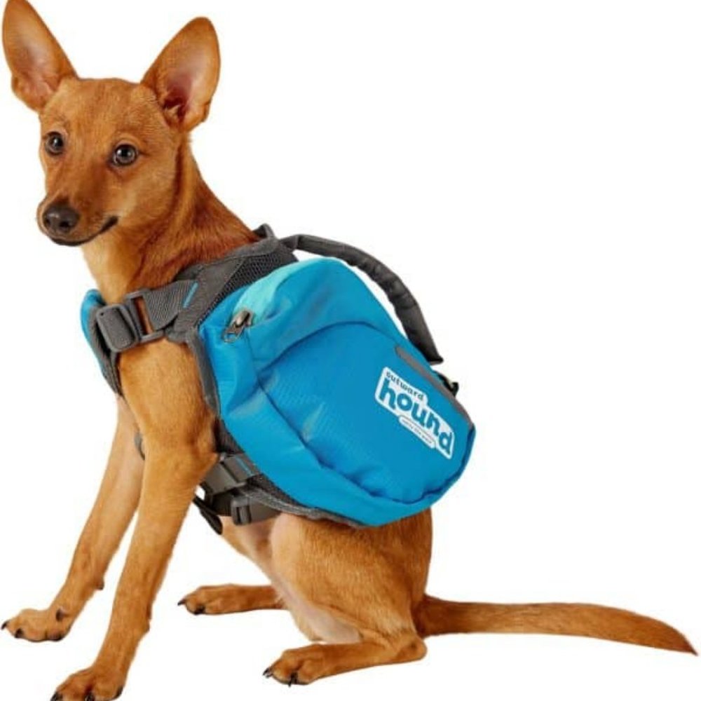 OUTWARD HOUND Medium dog 4 pocket daypack harness bag d ring leash attachment